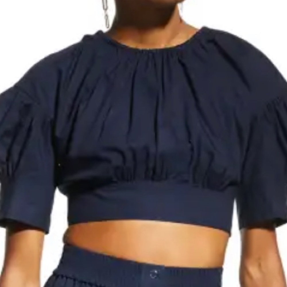 ALC navy crop top